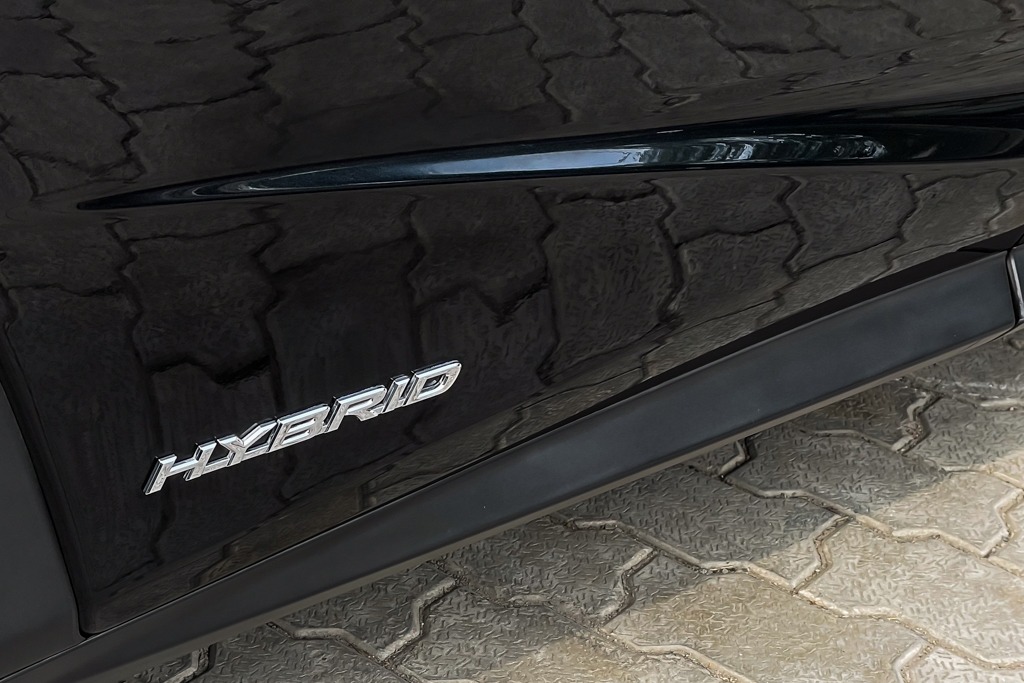 2019 LEXUS RX450H LUXURY