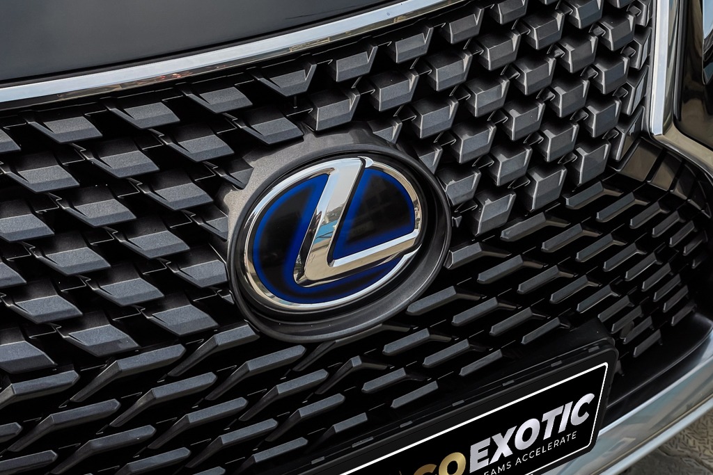 2019 LEXUS RX450H LUXURY