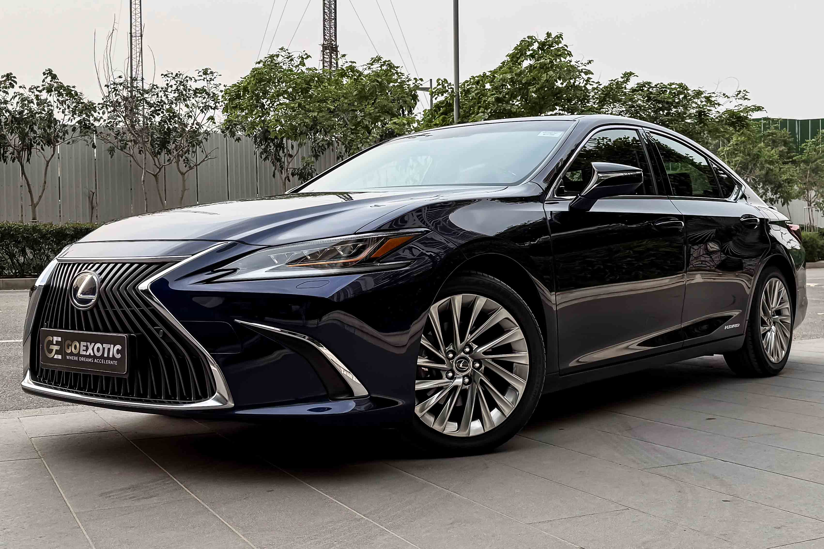2019 LEXUS ES300 HYBRID LUXURY
